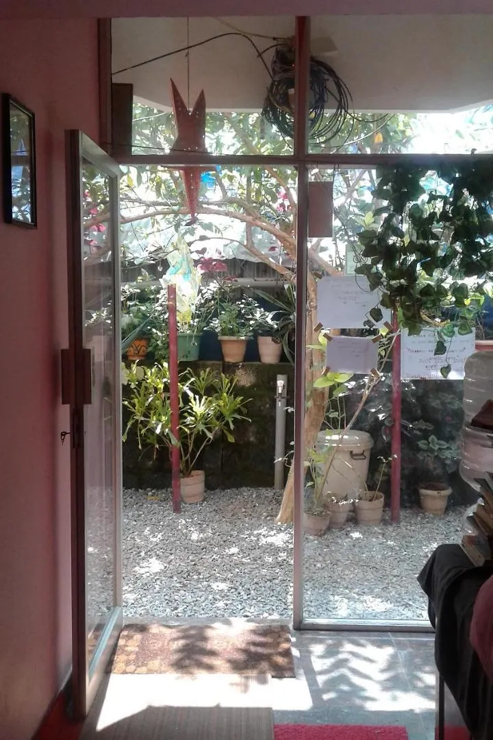 Penzion Hotel Baby House Varkala Indie